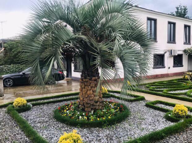 זוגדידי Green Garden מראה חיצוני תמונה
